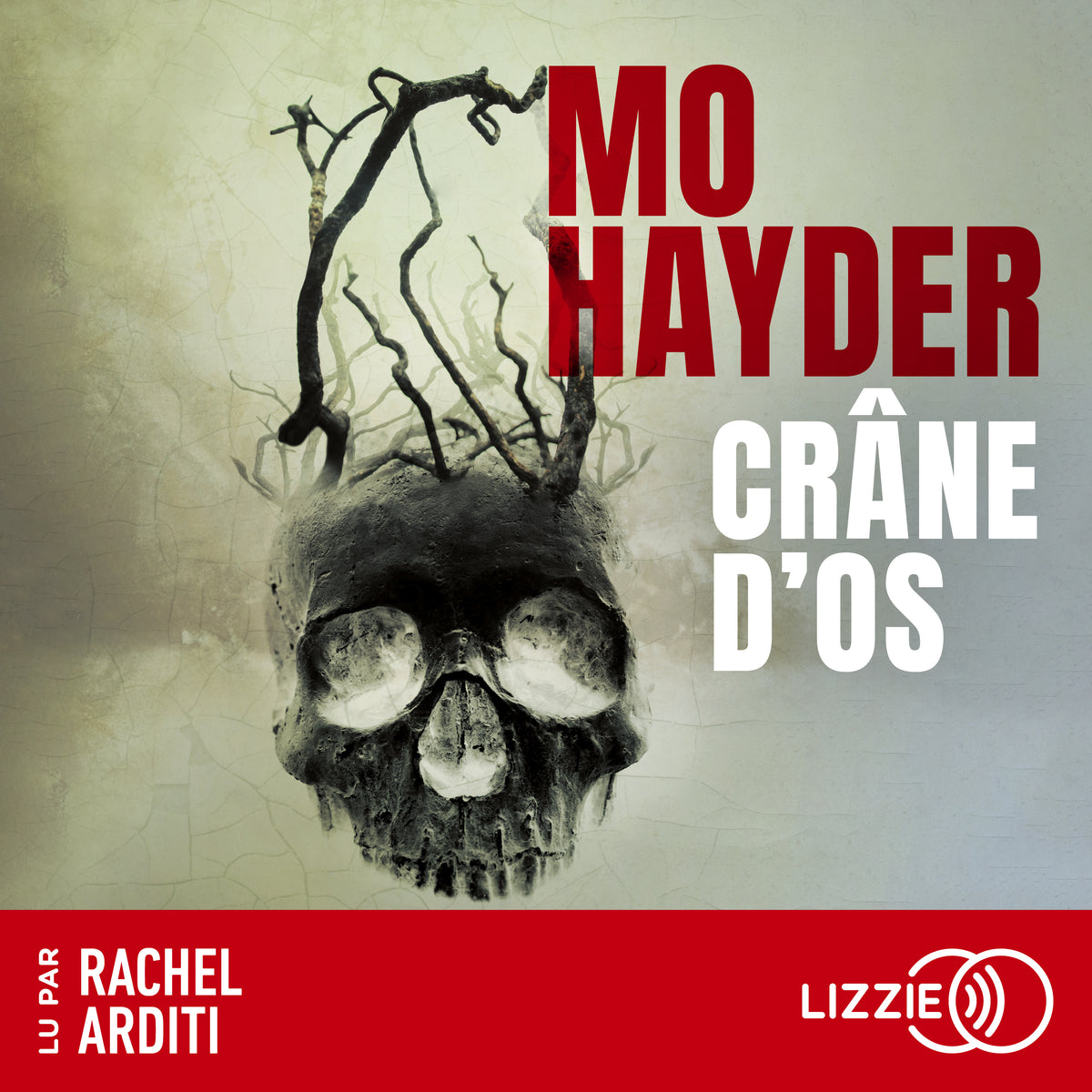 Crâne d'os