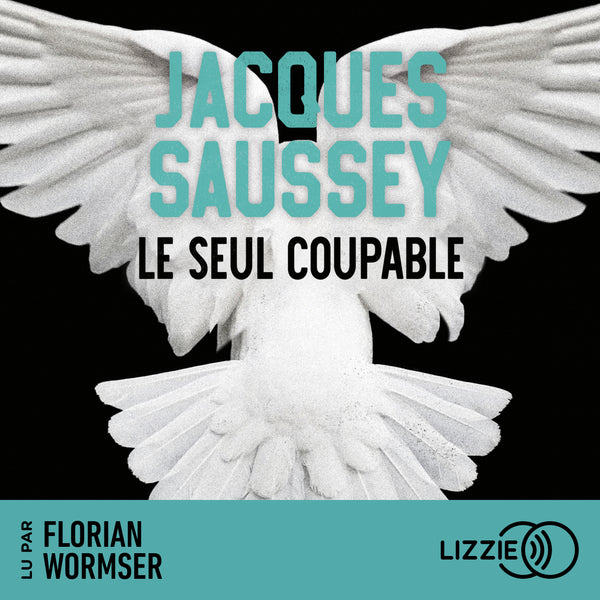 Le seul coupable